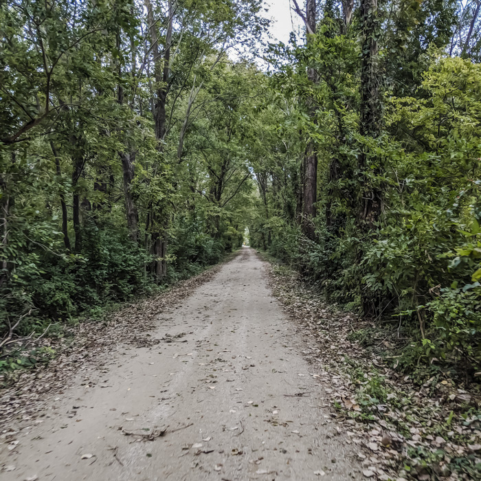 Bicycle Tips Gravel Plans for 2020