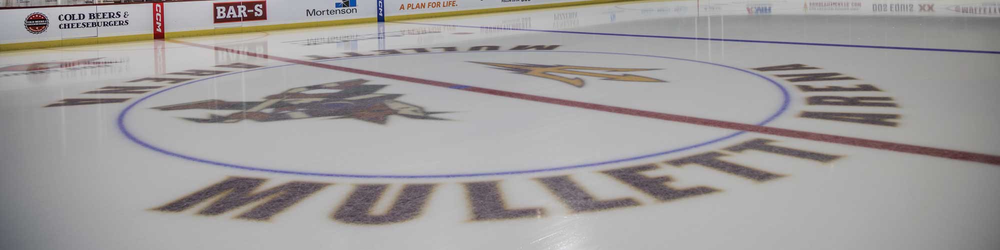 Mullett Arena - Arizona State University Ice Hockey Arena